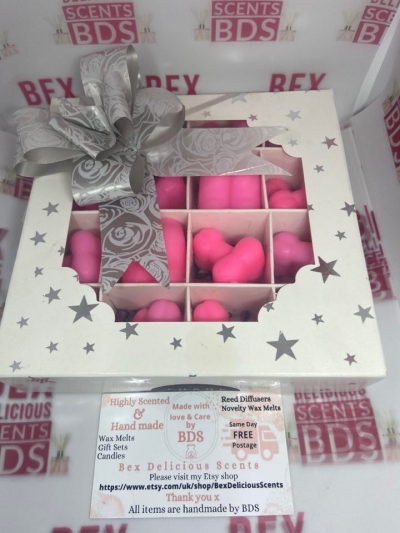 Willy Bum giftset wax melts x32